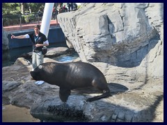 L'Oceanogràfic Oceanarium 126